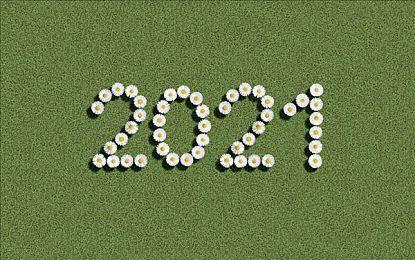 《维纳斯璀璨假期：死或生Xtreme》被新加坡评为M18级