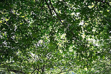 MachineGames谈《德军总部》：我们还有故事要讲