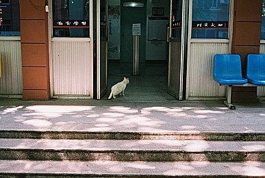 《羊蹄山之魂》新预告公开 7月将有专场State of Play直播